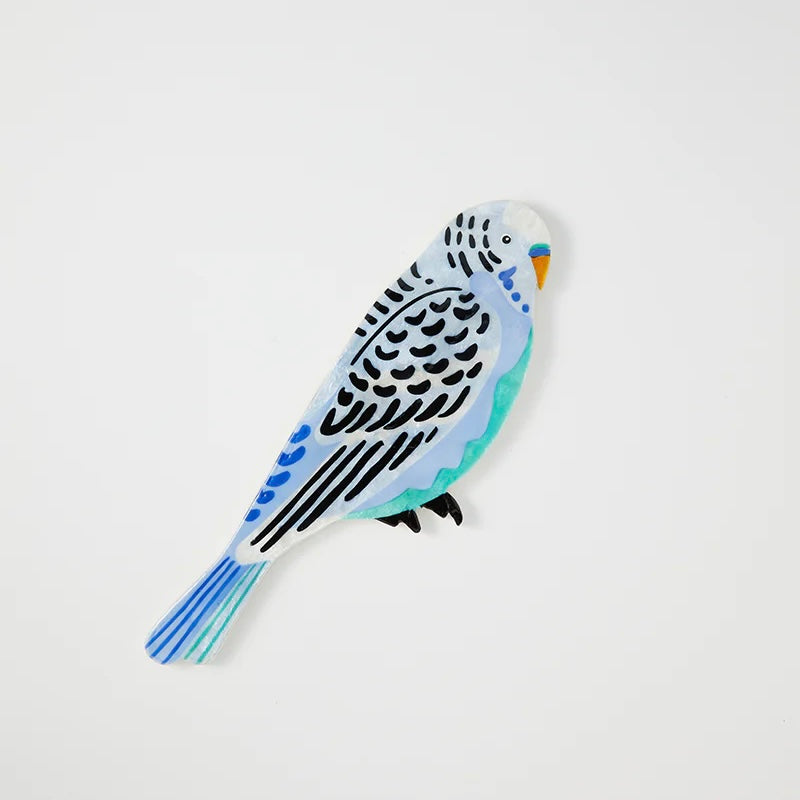 Jones & Co - Aerial Budgie