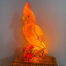 Heico - Night Light Major Mitchell
