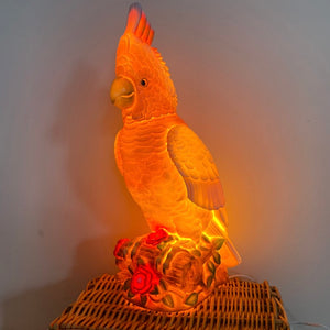 Heico - Night Light Major Mitchell