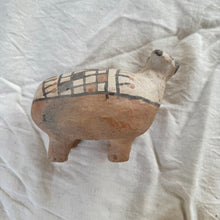 Moroccan Rif Animal #25