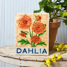 Jones & Co - Market Dahlia