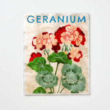 Jones & Co - Market Geranium