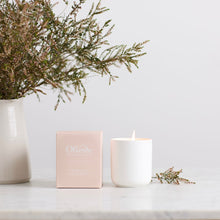 Olieve - 65 Hour Candle