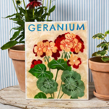 Jones & Co - Market Geranium