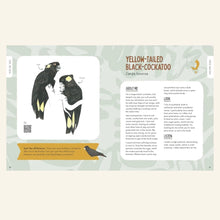 Hide And Beak