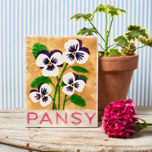 Jones & Co - Market Pansy