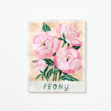Jones & Co - Market Peony