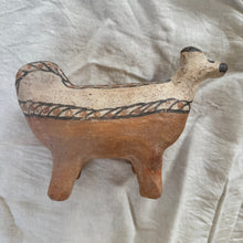 Moroccan Rif Animal #23
