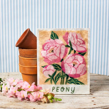 Jones & Co - Market Peony