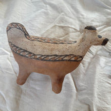 Moroccan Rif Animal #23