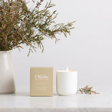 Olieve - 65 Hour Candle