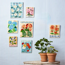 Jones & Co - Market Pansy