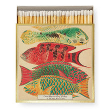 Archivist Gallery Matches - Fish