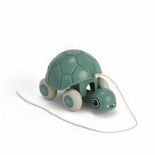 Viking Toys Pull-Along Turtle
