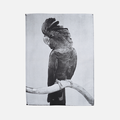 Bonnie & Neil Tea Towel - Black Cocky