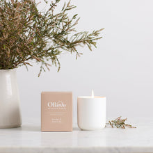 Olieve - 65 Hour Candle