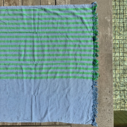 Fiesta Turkish Towel - Sky/Green