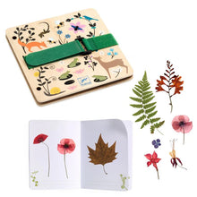 Djeco DIY - Budding Botanist