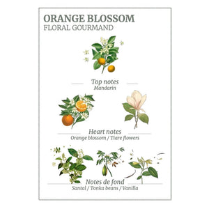 Panier Des Sens - Orange Blossom Body Lotion