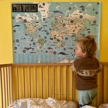 Map Of The World Poster
