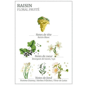 Panier Des Sens - Mini Hand Cream Grape