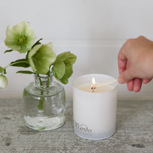 Olieve - 60 hour Candle White Rum, Mint & Citrus